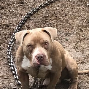 Meet your Posher, Lloyd